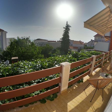Apartments Mima Zadar Exteriör bild